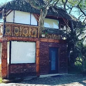 https://casa-del-arbol.hotelsquito.com